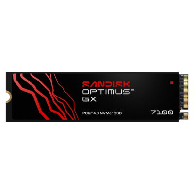 SANDISK Optimus GX SSD's