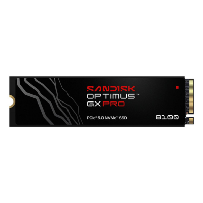 SANDISK Optimus GX Pro SSD