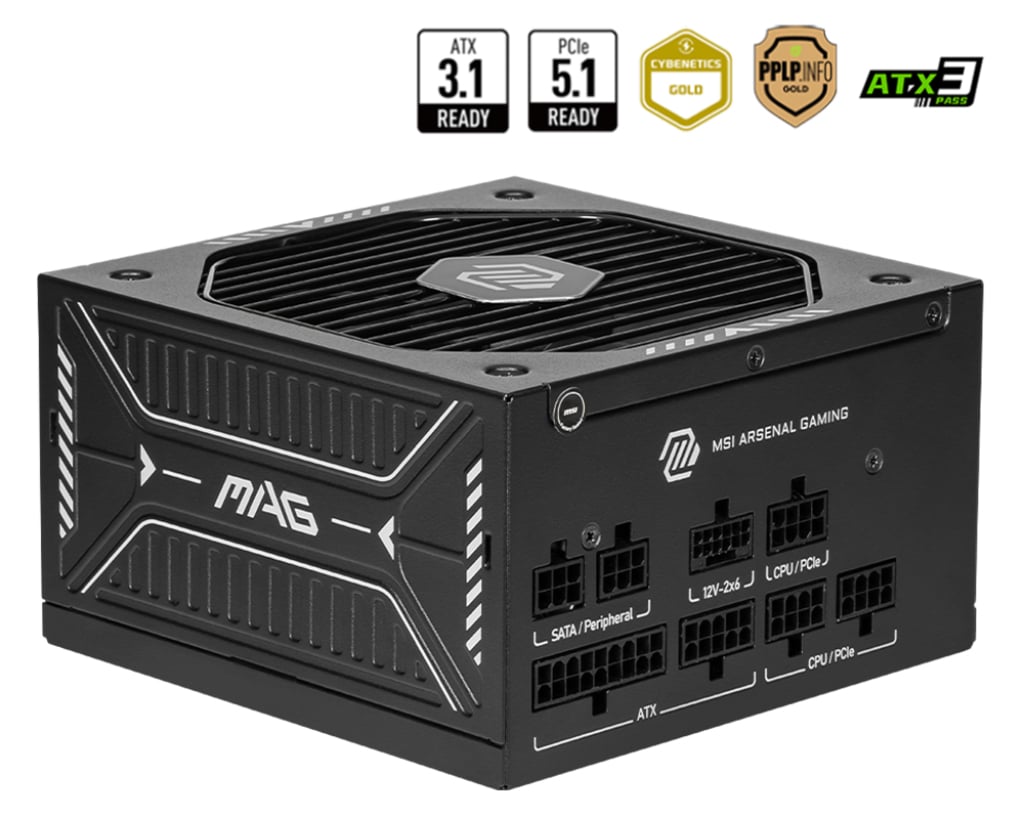 MSI MAG A650GLS PCIE5 - Voeding