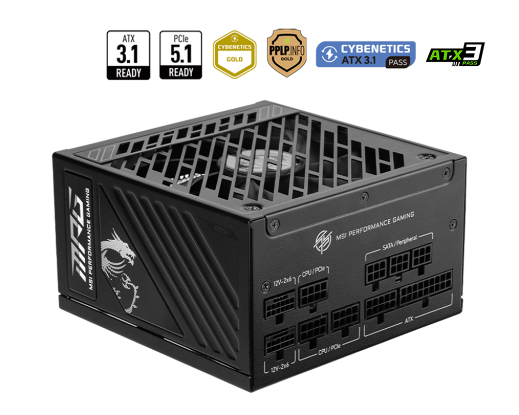 MSI MPG A1000GS PCIE5 - Voeding
