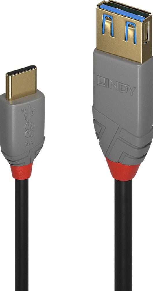 Lindy 36895 - Adapterkabel