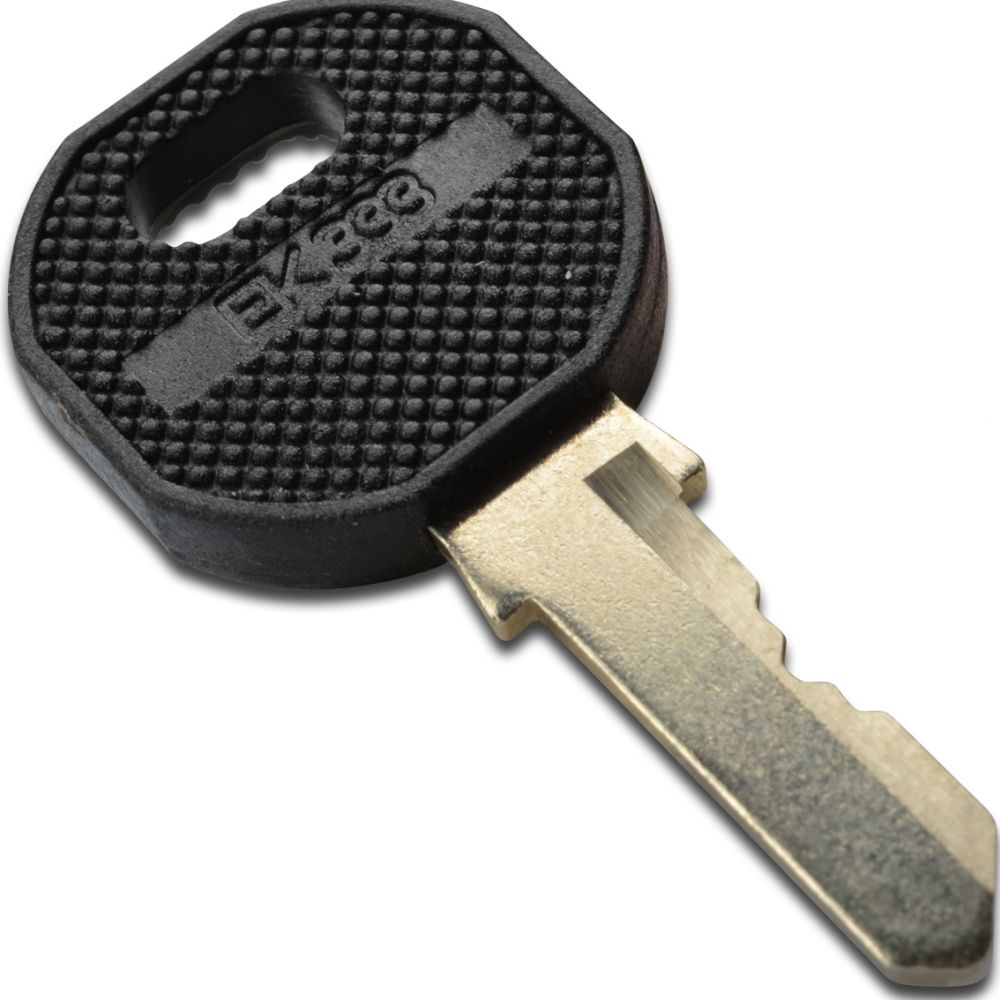 DIGITUS Professional DN-19 KEY-EK333 - Sleutel voor veiligheidsslot rack