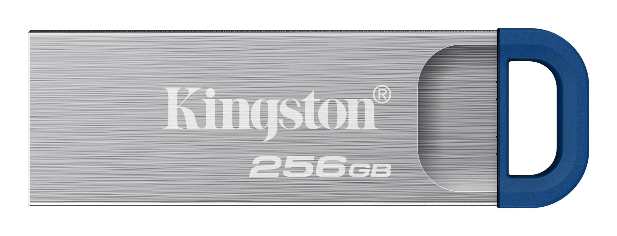 Kingston DataTraveler Kyson USB Flash Drive 256GB RVS - USB-Stick