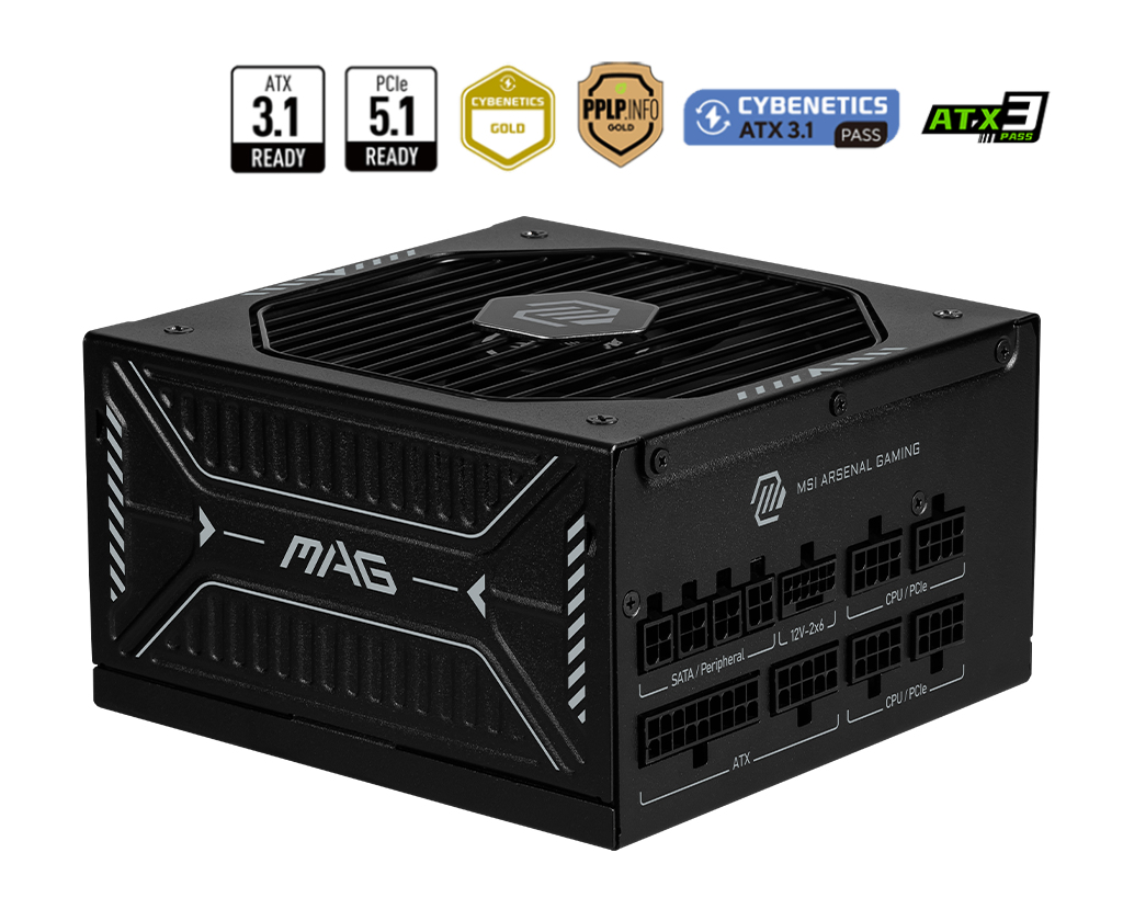 MSI MAG A850GLS PCIE5 - Voeding