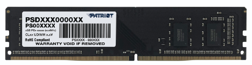 Patriot Signature Line PSD58G560082 - Geheugen