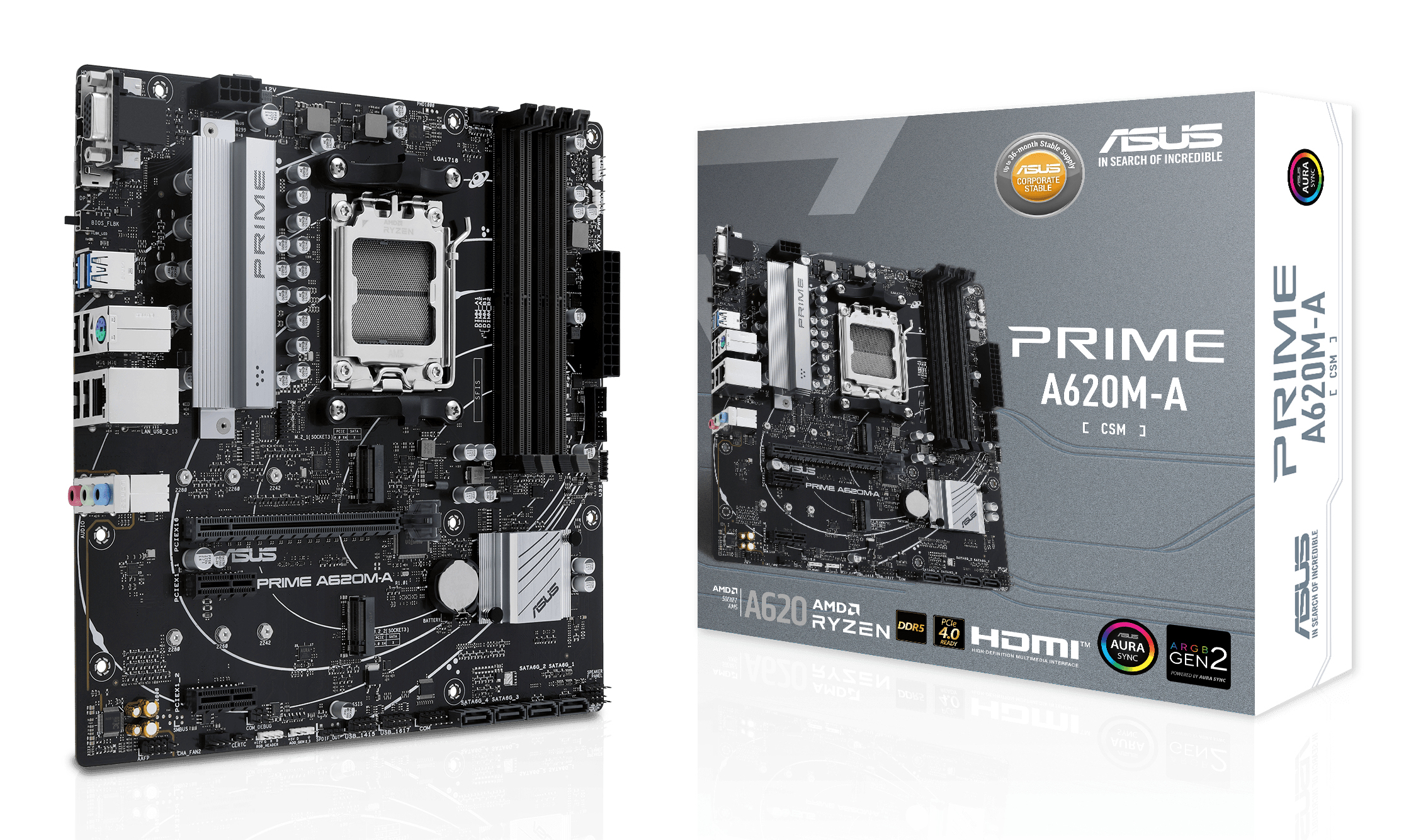MB ASUS PRIME A620M-A-CSM (AMD,AM5,DDR5,mATX)
