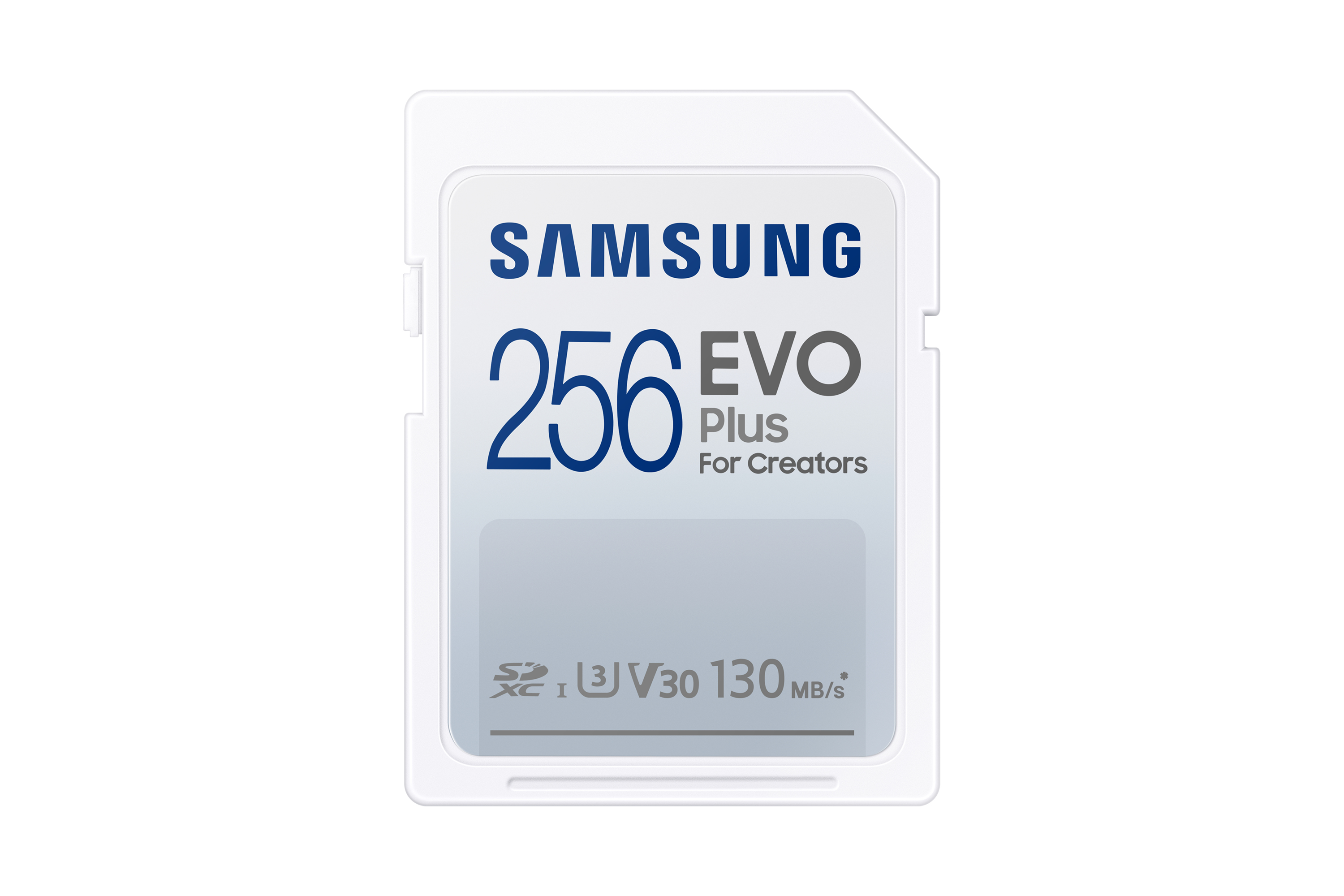 Samsung EVO Plus 256GB - Flashgeheugenkaart