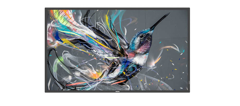 Philips 55BDL3511Q - 55" diagonale klasse (54.6" zichtbaar)