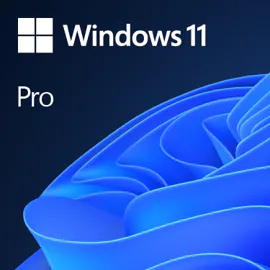 Windows 11 Pro | Meertalig - Licentie