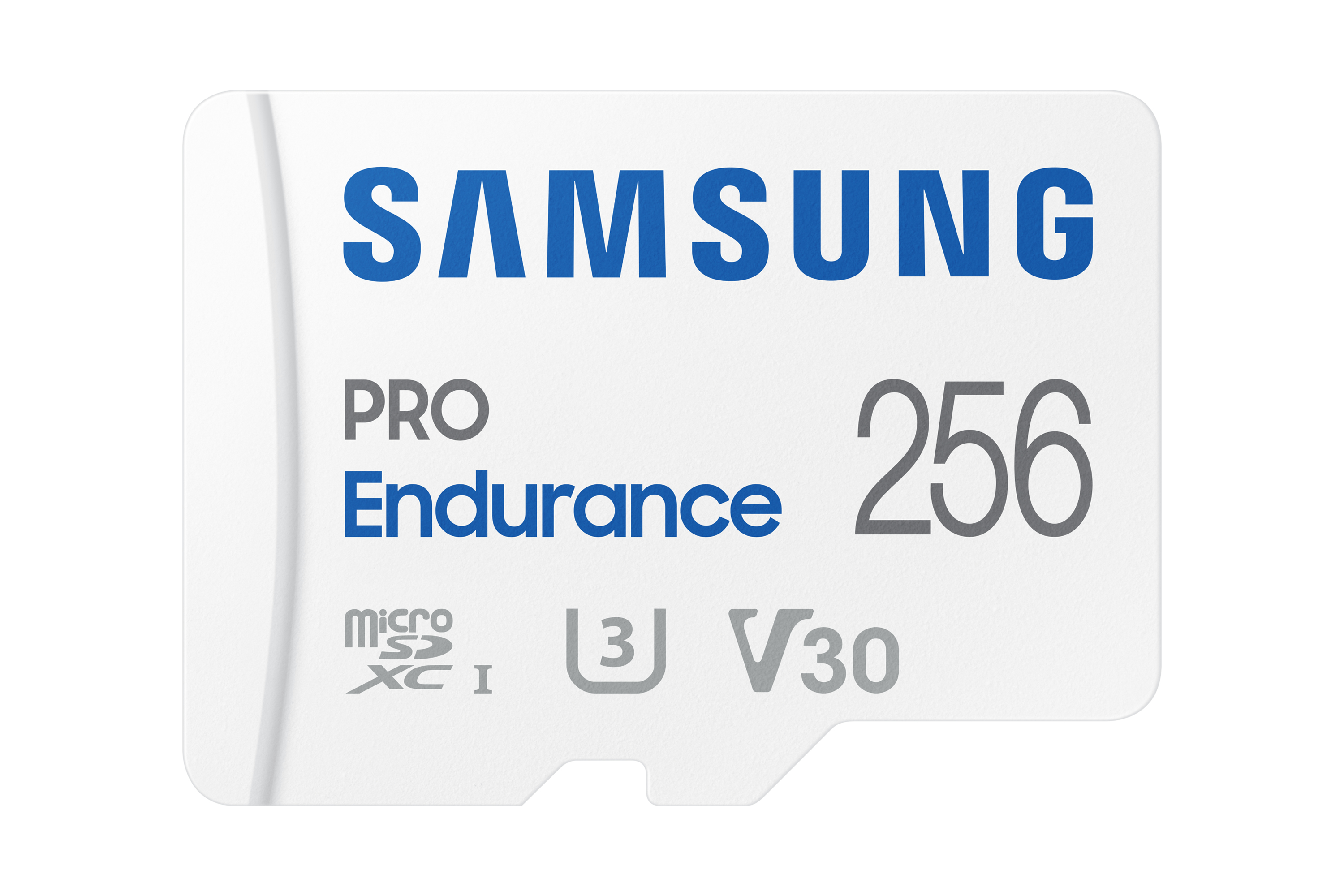 Samsung PRO Endurance 256GB - Flashgeheugenkaart