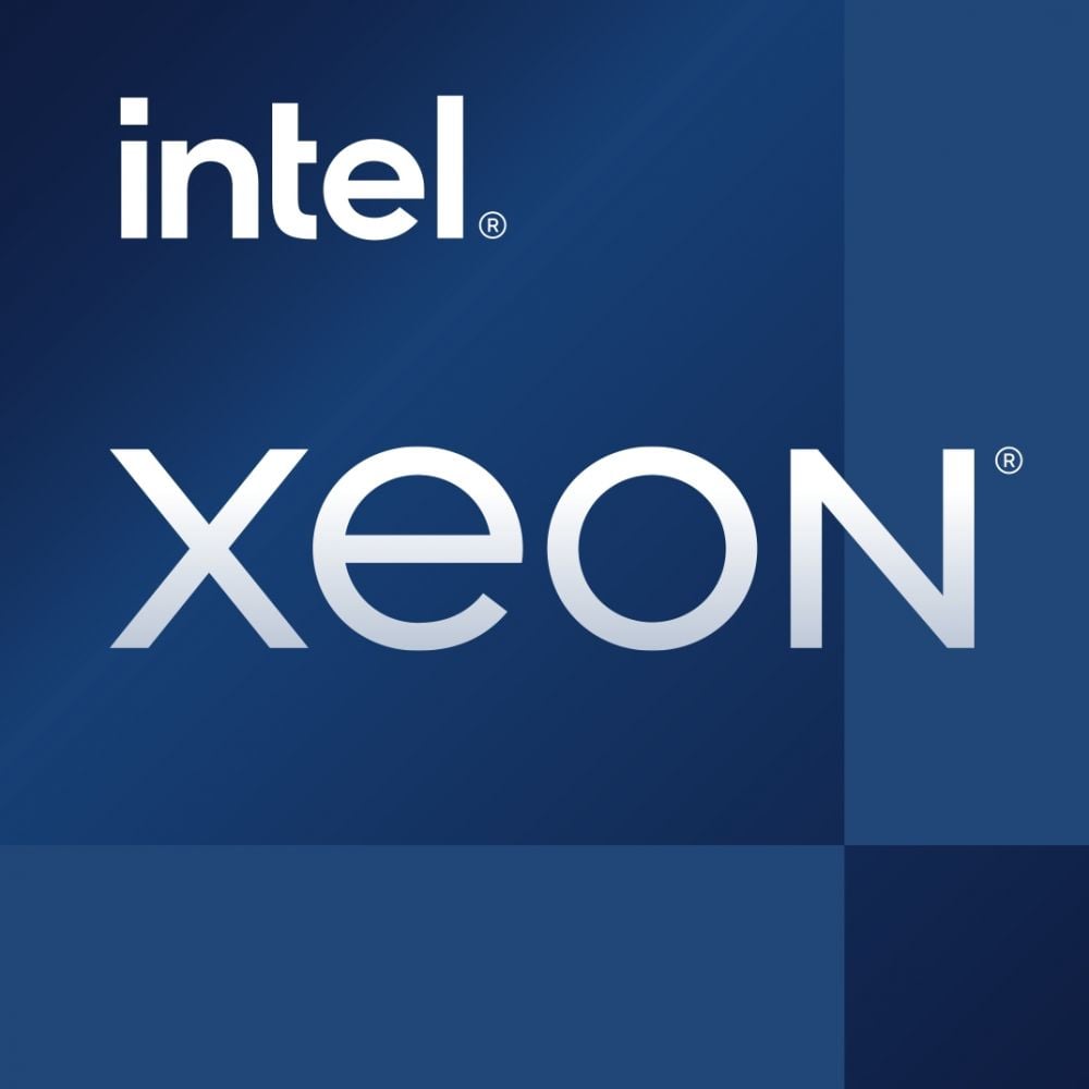 Intel Xeon E-2324G - 3.1 GHz