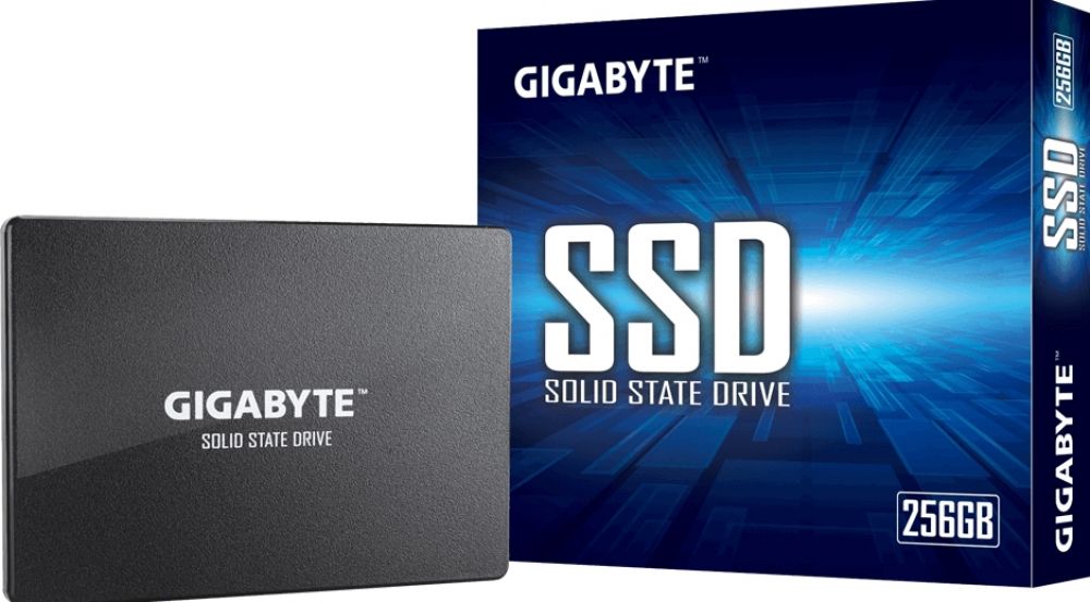 Gigabyte GP-GSTFS31256GTND - Solid state drive