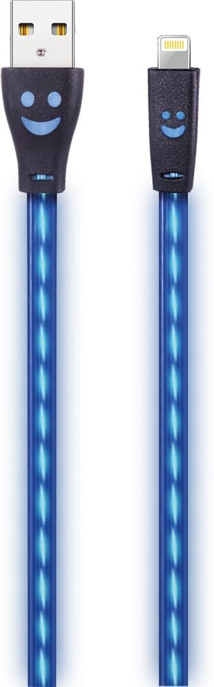 2GO USB oplaadkabel zwart met blauer LED-Beleuchtung 100cm light.