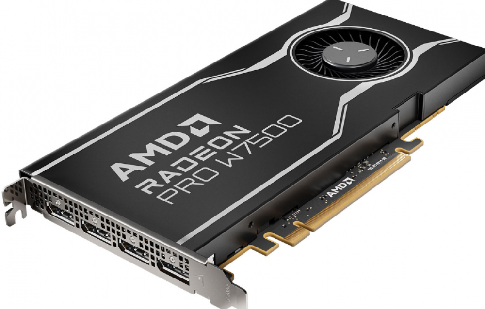 AMD Radeon Pro W7500 - Videokaart