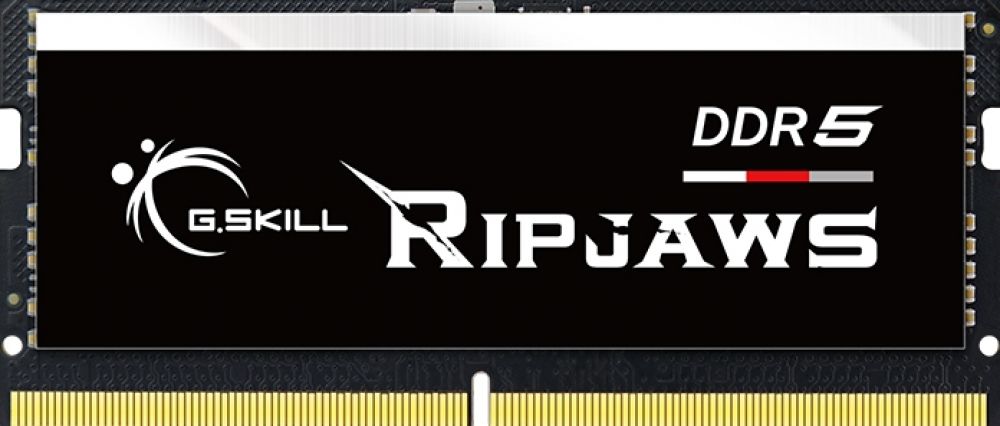 GSKILL G.Skill Ripjaws F5-4800S3434A16GX1-RS - Geheugen