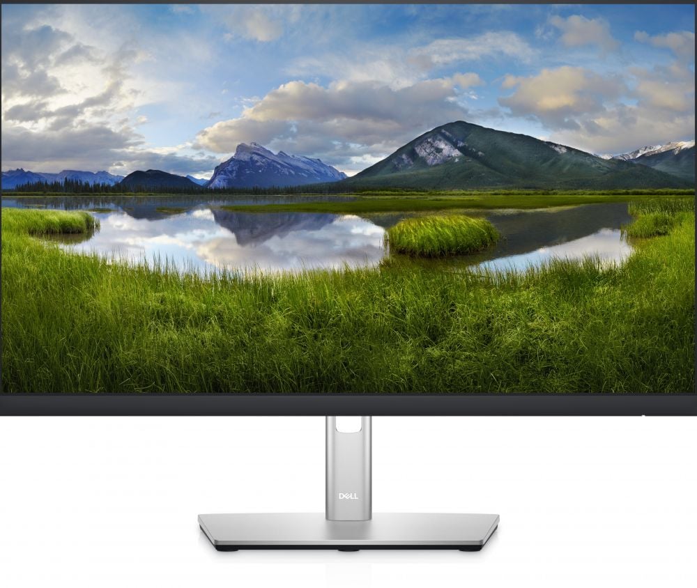 Dell P2422HE - LED-monitor