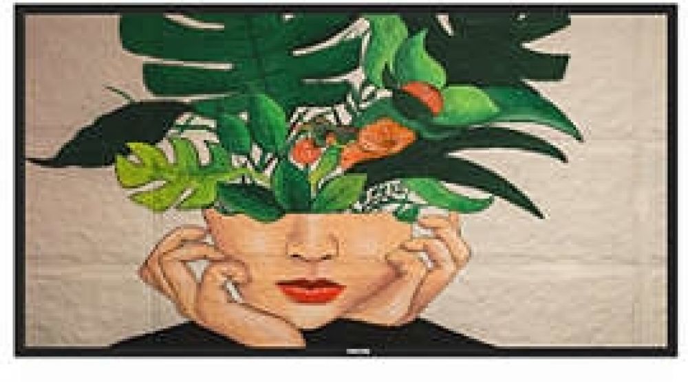 Philips 43BDL4511D - 43" diagonale klasse (42.5" zichtbaar)