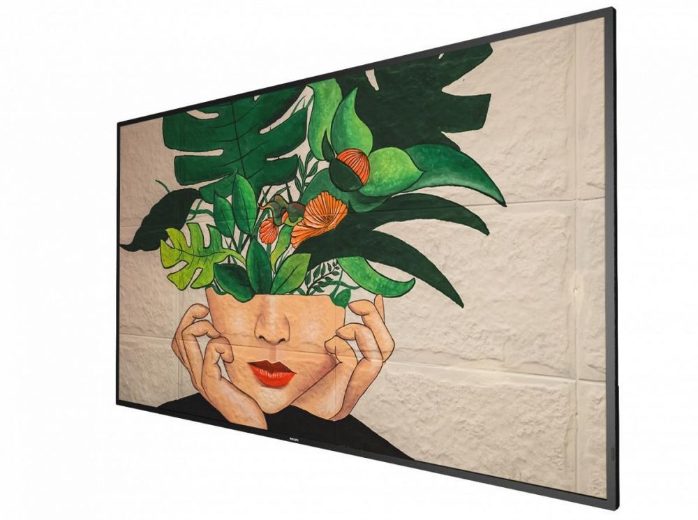 Philips 55BDL4511D - 55" diagonale klasse (54.6" zichtbaar)