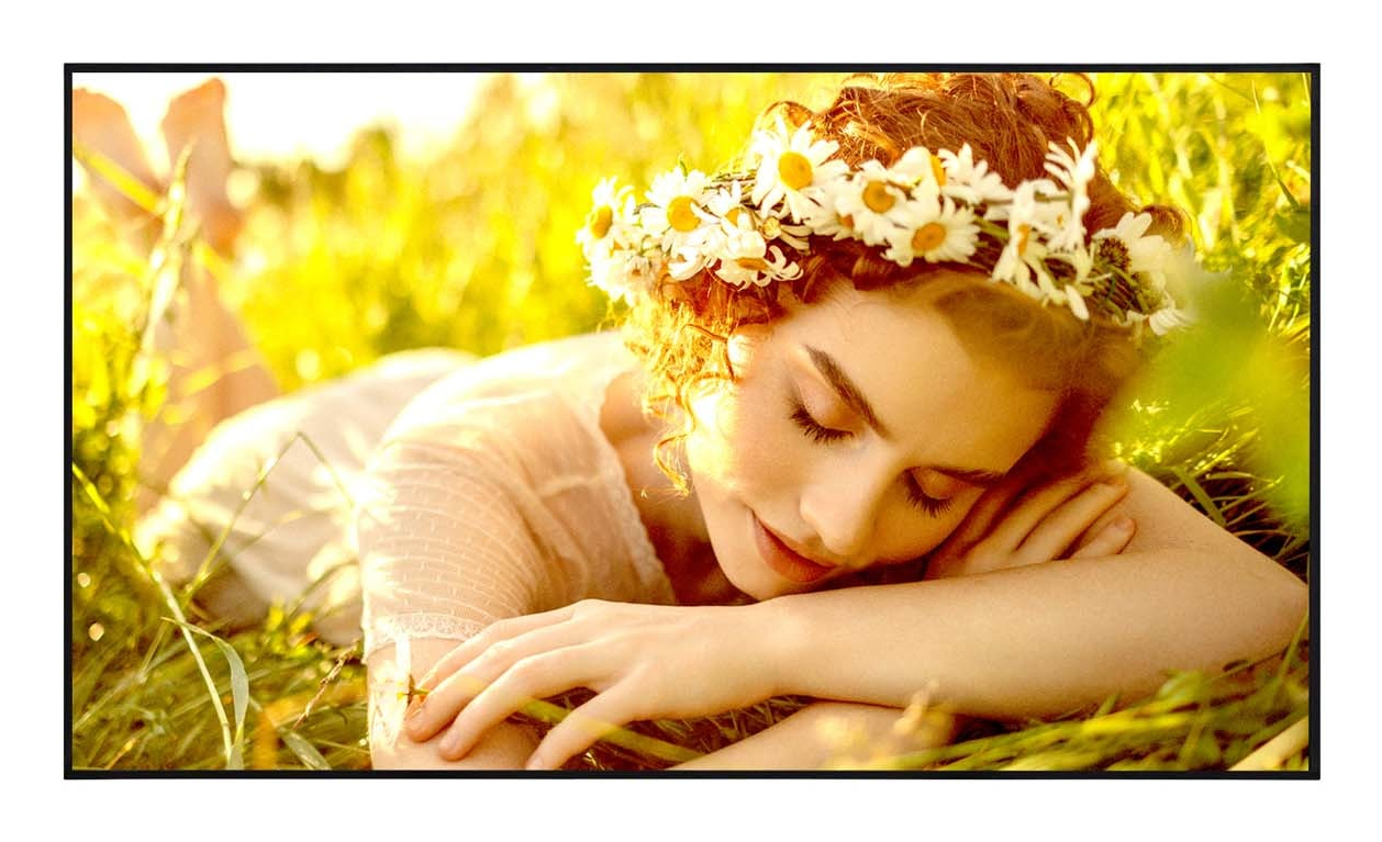 LG 65UL5Q-E - Digital Signage Display
