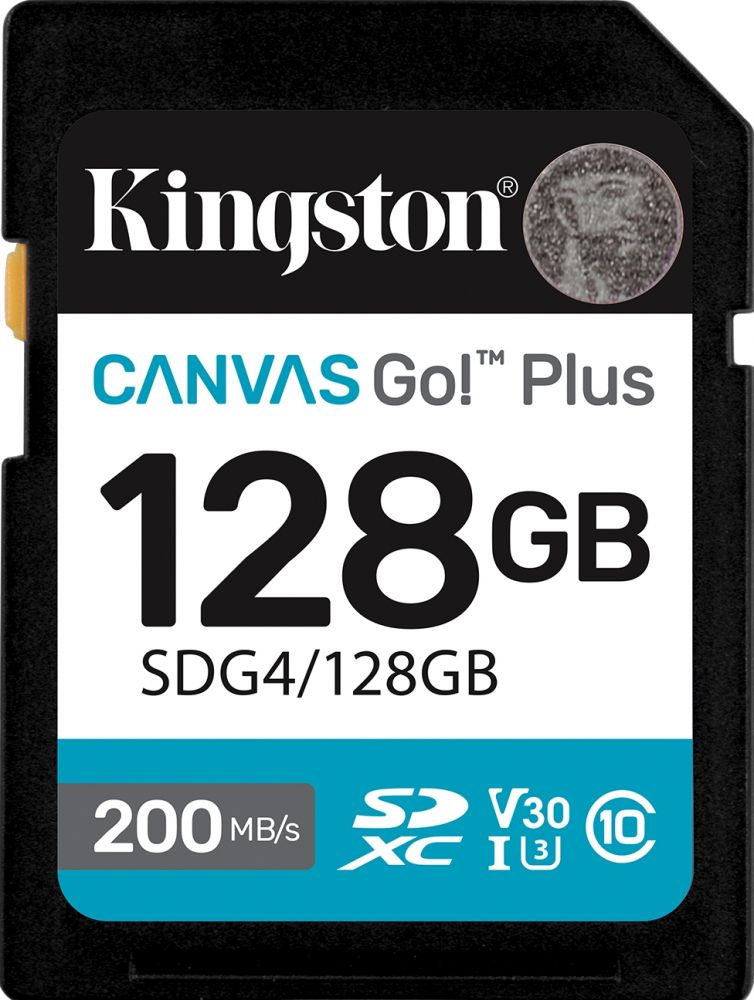 KINGSTON Kingston Canvas Go! Plus 128GB - Flashgeheugenkaart