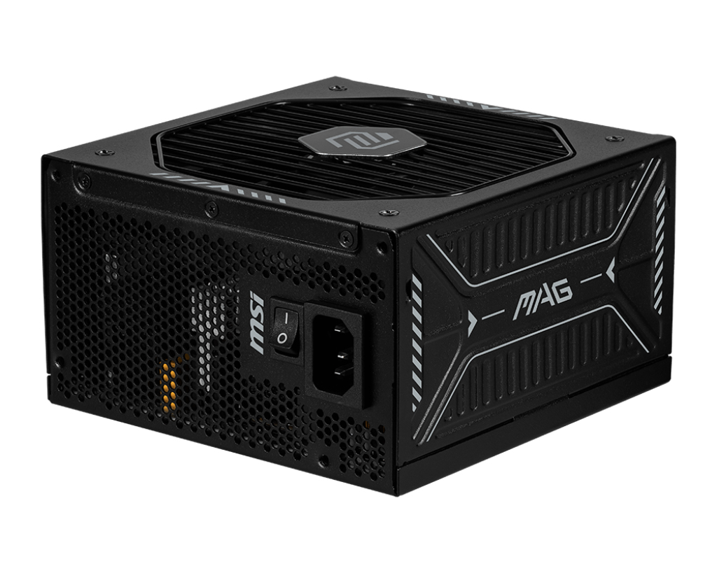 MSI MAG A1000GLS PCIE5 - Voeding
