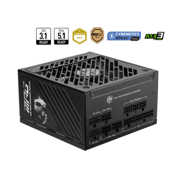 MSI MPG A1000GS PCIE5 - Voeding