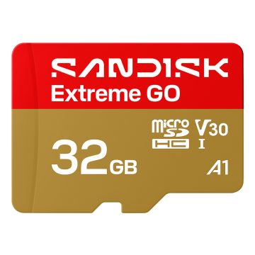 SanDisk Extreme GO microSDHC 32GB - Flashgeheugenkaart