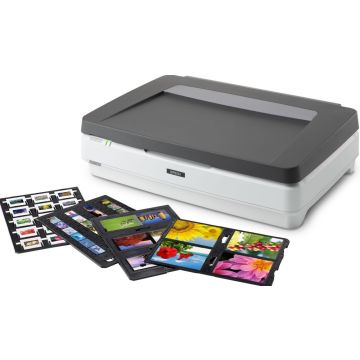 Epson Expression 13000XL Pro - Flatbed scanner