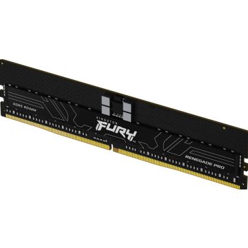 Kingston Fury Renegade Pro - Geheugen