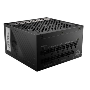 MSI MPG A1000G PCIE5 - Voeding