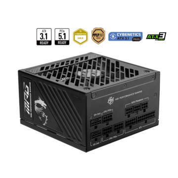 MSI MPG A1000GS PCIE5 - Voeding