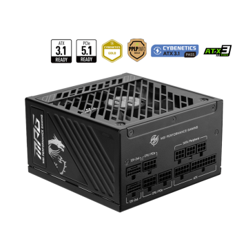 MSI MPG A850GS PCIE5 - Voeding