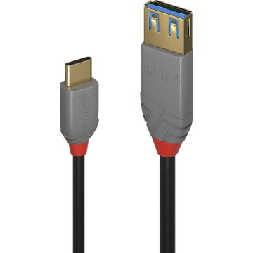 Lindy 36895 - Adapterkabel