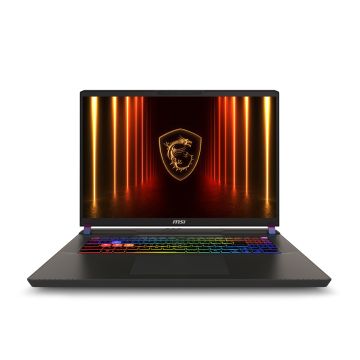 MSI Vector 17 HX AI A2XWJG-056NL - Laptop