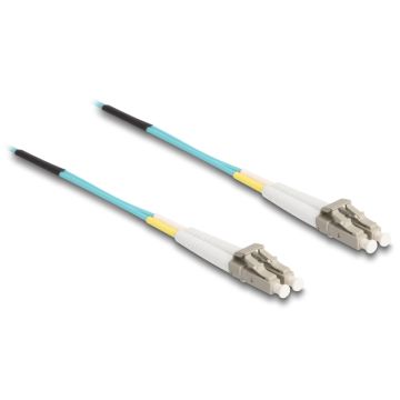 DeLOCK 80150 - InfiniBand & Glasvezelkabel