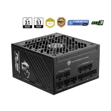 MSI MPG A1250GS PCIE5 - Voeding