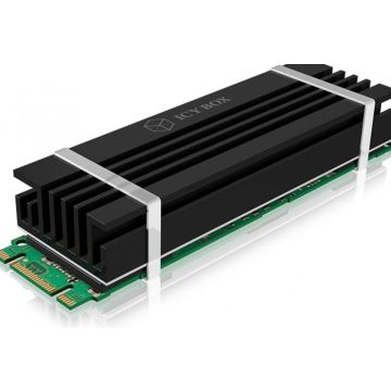 RaidSonic ICY BOX IB-M2HS-70 - Koellichaam SSD