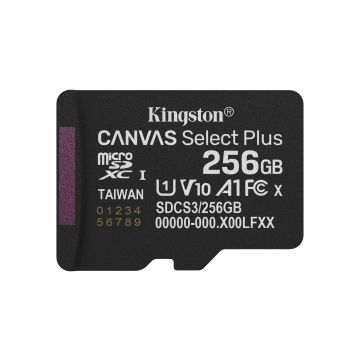 Kingston Canvas Select Plus Gen 3 256 GB zonder adapter - Flashgeheugenkaart