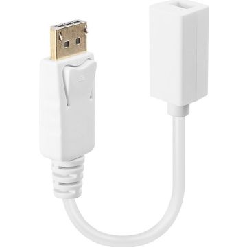 Lindy  - DisplayPort-adapter 