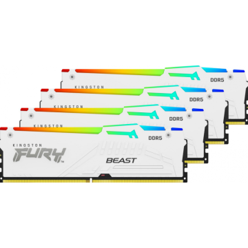 Kingston FURY Beast RGB White - Geheugen