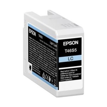 Epson T46S5 - 25 ml