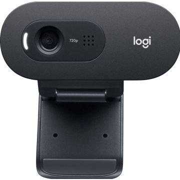 Logitech C505e - Webcam