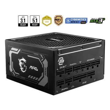 MSI MAG A1000GL PCIE5 - Voeding