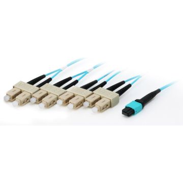 Equip MTP/SC Trunk Fiber Patch Cord OM4 M/M 5.00m Polybeutel