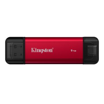 Kingston Dual Portable 1TB - SSD