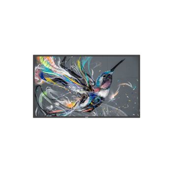 Philips 55BDL3511Q - 55" diagonale klasse (54.6" zichtbaar)