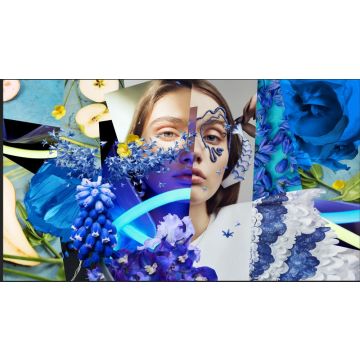 DS-D6055UN-DP