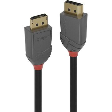 Lindy DisplayPort 1.2 Kabel, Anthra Line 10m