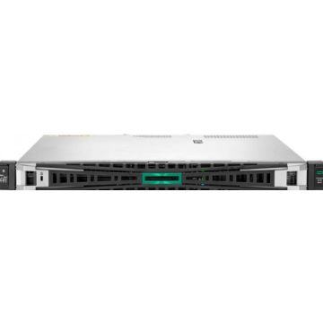HPE ProLiant DL20 Gen11 Performance - Server