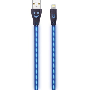 2GO USB oplaadkabel zwart met blauer LED-Beleuchtung 100cm light.